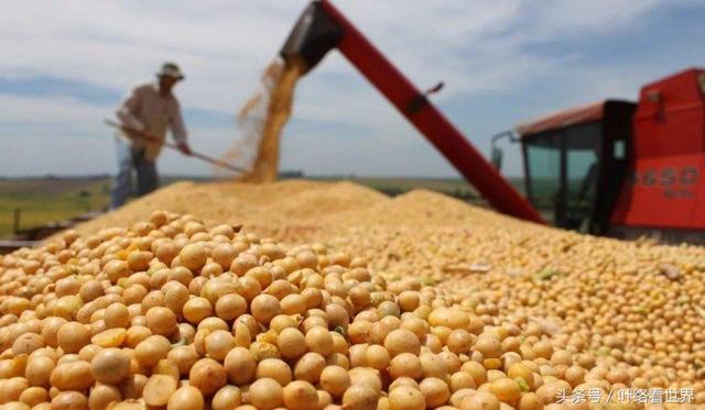 美國(guó)大豆出口大會(huì)閉幕，中國(guó)買(mǎi)家一顆沒(méi)買(mǎi)